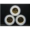 Image 2 : (3) Statehood Quarter Dollars in 24KT GOLD PLATED- Special Edition w/COA