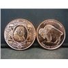 Image 1 : (2) Copper Rounds .999 Buffalo and Benjamin Franklin Designs