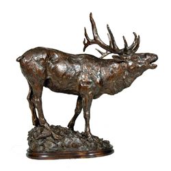 Tim Shinabarger - Black Timber Bugler