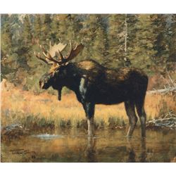 Tucker Smith - His Territory