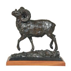 Tim Shinabarger - Seeking Passion and Glory