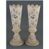 Image 1 : 1 PAIR OF BRISTOL VASES 