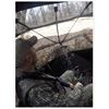 Image 4 : Primos Double Bull SurroundView™ 360° Blind
