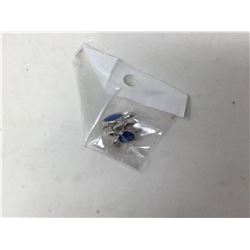 Blue Stone Turtle Earrings