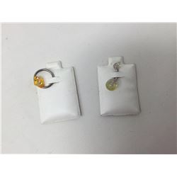 Lot of Surgical Steel Body Jewelry Rings (2ct)