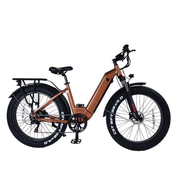 MJM E-BIKE FOR HUNTING MODEL STF21Y