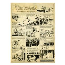 Hal Foster - Tarzan Sunday Original Art Comic Strip Art Hal Foster - Tarzan Sunday Comic Strip Origi