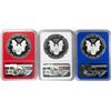 Image 2 : Set of 2019-W $1 Proof American Silver Eagle Coins NGC PF70 Ultra Cameo Red White Blue