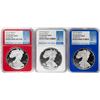 Image 1 : Set of 2019-W $1 Proof American Silver Eagle Coins NGC PF70 Ultra Cameo Red White Blue