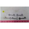Image 1 : 5 SKELETON KEYS