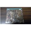 Image 2 : BAG OF OLD CANADIAN/ US PENNIES