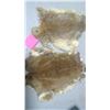 Image 1 : BROWN JUMBO RABBIT PELTS