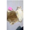 Image 2 : BROWN JUMBO RABBIT PELTS