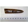 Image 1 : ORTHOCERAS 350  MILLION FOSSIL SCULPTURE 7" HIGH