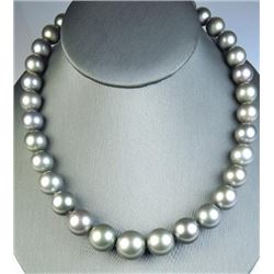 20CAI-1 LARGE SOUTH SEA PEARLS