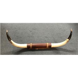 20TMO-157 HORNS