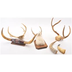 20TMO-1071 HORNS