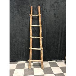 20TMO-179 WOODEN LADDER