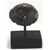 Image 2 : Prehistoric Toltec Pottery Spindle Whorl