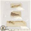 Image 1 : LOT OF 3 FOSSIL FISH IN MATRIX, FROM WYOMING USA.