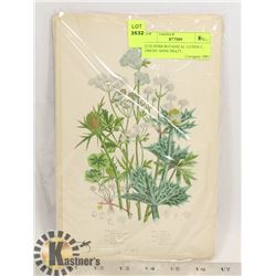 22 SUPERB BOTANICAL LITHOS C, 1900 BY ANNE PRATT.