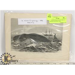 16 WOOD ENGRAVINGS OF ARCTIC SCENES PUBLISHED 1886