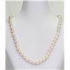 Image 1 : SILVER FRESHWATER PEARL  NECKLACE
