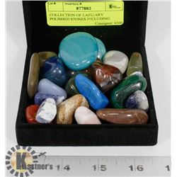 COLLECTION OF LAPIDARY POLISHED STONES INCLUDING