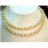 Image 1 : Strand of pearls 7-7.5mm 30 14kt white