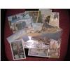 Image 1 : (13) Florida Linen Post Cards  50+ Year