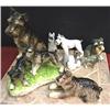 Image 1 : Collection of Schnauzer doggies looking