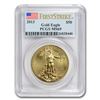 Image 1 : 2013 1 oz Gold American Eagle MS-69 PCGS (FS)