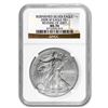 Image 1 : 2008-W Burnished Silver American Eagle MS-70 NGC (Rev '07)