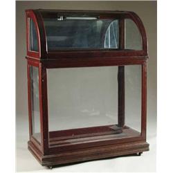 FINE OAK AND GLASS LIFT TOP CANE CASE