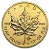 Image 1 : 2013 Canada 1 oz Gold Maple Leaf BU