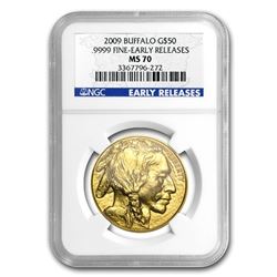 2009 1 oz Gold Buffalo MS-70 NGC (Early Releases)