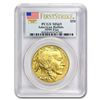 Image 1 : 1 oz Gold Buffalo MS-69 PCGS (Random Year)