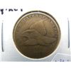 Image 1 : 1858 Flying Eagle Cent Nice