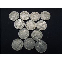 12 buffalo nickels with dates