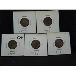 5 indian head cents carded and dated