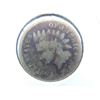 Image 1 : 1859 indian head cent