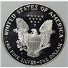 Image 2 : 1993 AMERICAN SILVER EAGLE