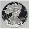Image 1 : 2001 AMERICAN SILVER EAGLE