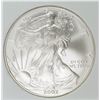 Image 1 : 2007-W AMERICAN SILVER EAGLE