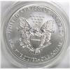 Image 2 : 2013-W AMERICAN SILVER EAGLE