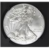 Image 1 : 2017 AMERICAN SILVER EAGLE