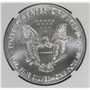 Image 2 : 2019 AMERICAN SILVER EAGLE