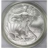 Image 1 : 2010 AMERICAN SILVER EAGLE