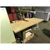 Image 1 : TATRY MODEL 1600/"S RADIAL ARM SAW WITH WORK TABLE, & LIGHT BULBS