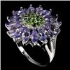 Image 2 : Natural Tanzanite & Chrome Diopside Ring